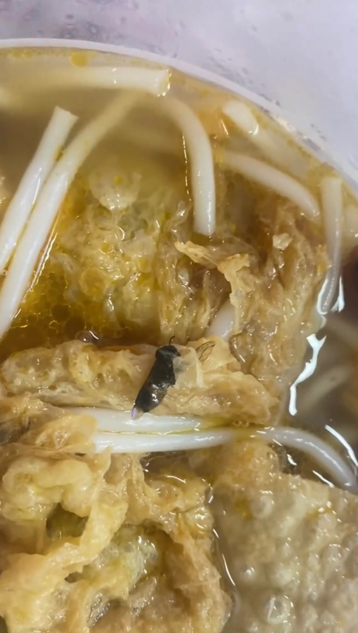 【玉林某螺螺蛳粉吃出一只不明虫子】5月7日，网友爆料称：外卖打包了玉林某螺的螺蛳