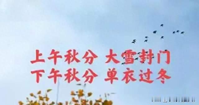 “上午秋分，大雪封门；下午秋分，单衣过冬”，今年秋分在几点？