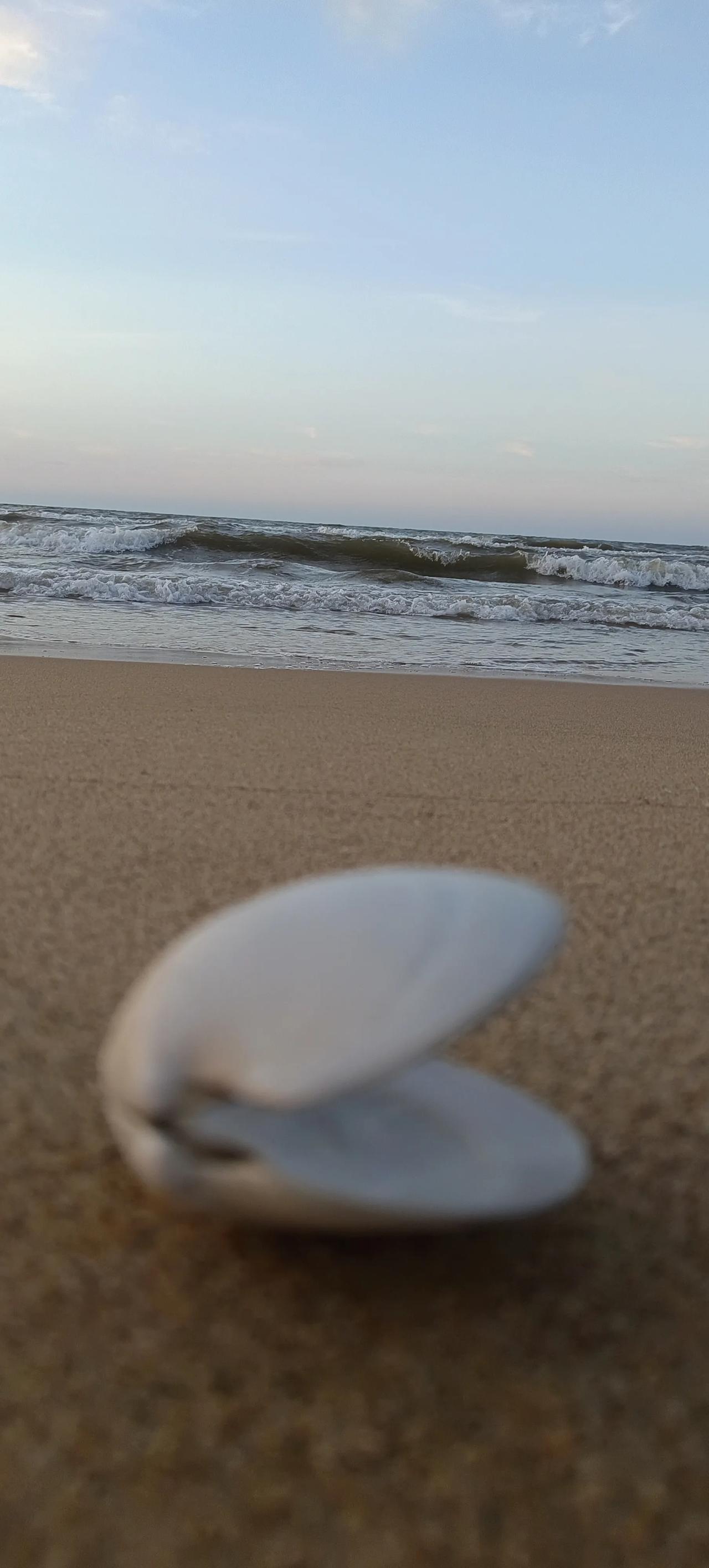 上联：青竹枝枝秀，诚邀下联红梅处处开