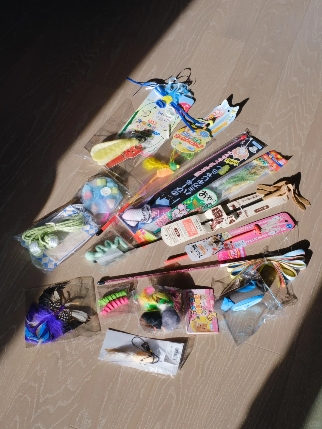 给猫咪买的玩具分享｜日美海淘玩具