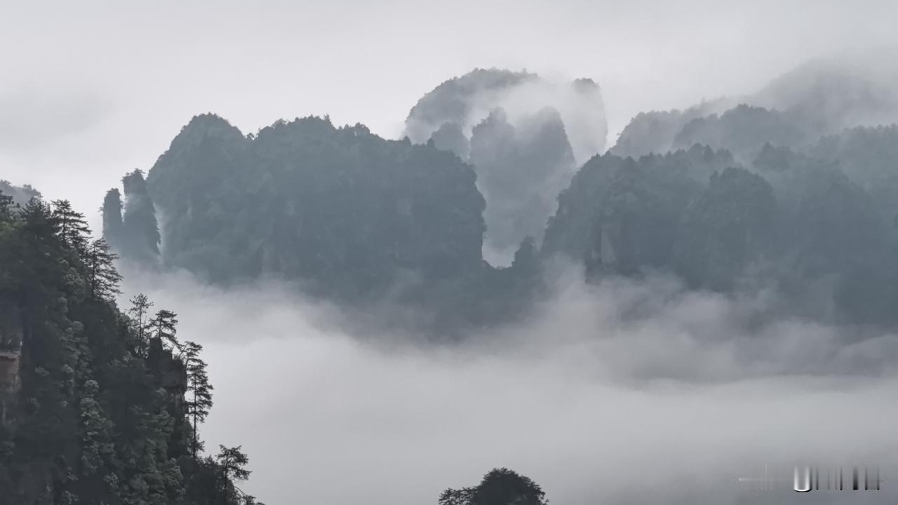 【云斋札记】王献叔送了盆兰花给沈守正。沈守正看到花得很好，就写了封感谢信：“蕙何