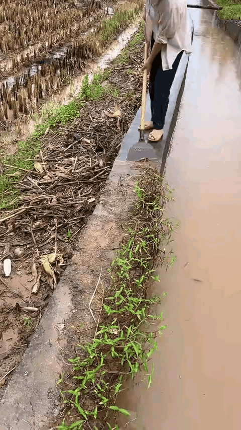 一方水养百样人