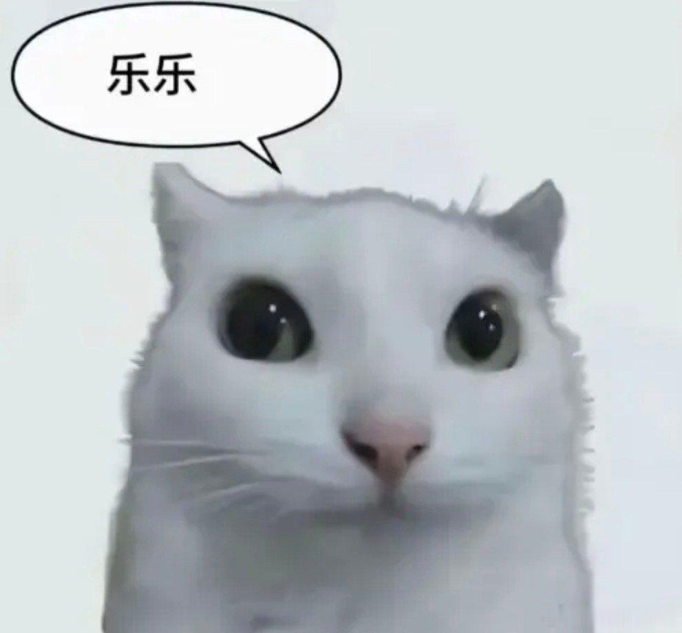 蜜蜜们中午吃啥尼。 