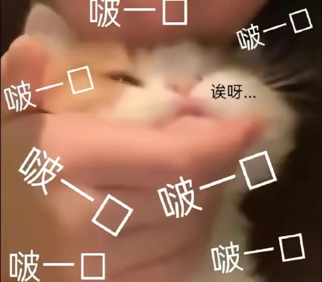 博君一肖 晚安，祝好🌙 