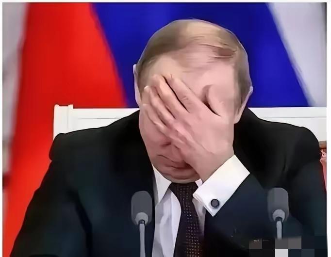 俄乌冲突打到第五年，终于把底牌全掀了。谁能想到，乌克兰拼尽全力的最大功绩，竟是把