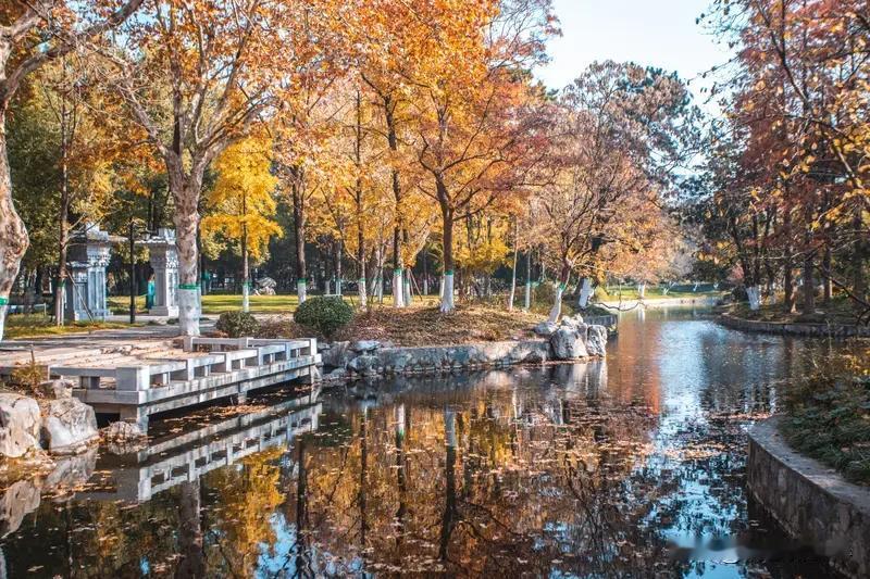 你最喜欢的一张公园景色照片