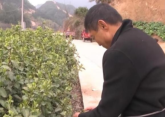2003年，一名失忆流浪汉被一对夫妻收留，同吃同住整整十七年。可就在这天，流浪汉