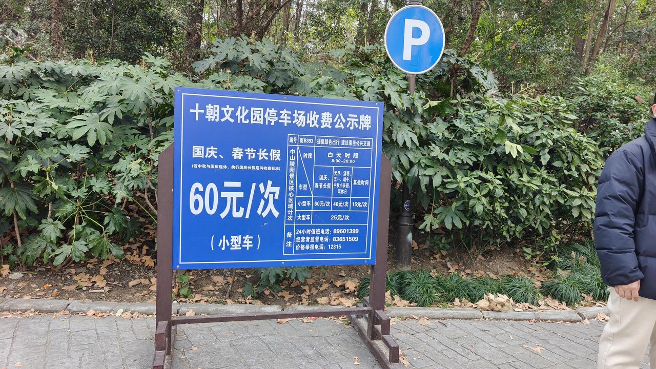 梧桐大道景点片区的这个停车场收费可以哦！温馨提示还是地铁绿色出行稳当哈!目测今天