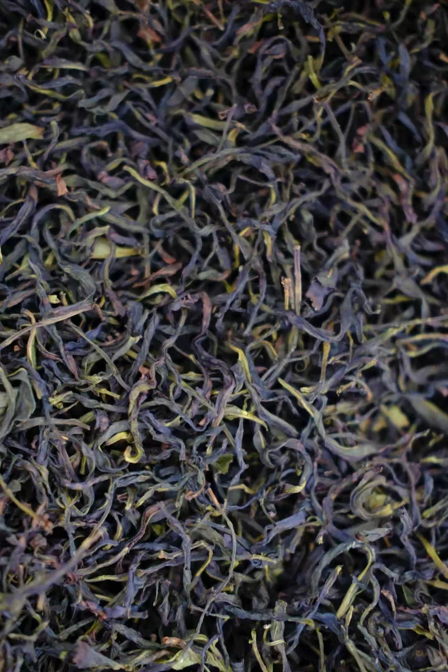 品茶赏器交友  小众而香，“城门”真的很香！ 