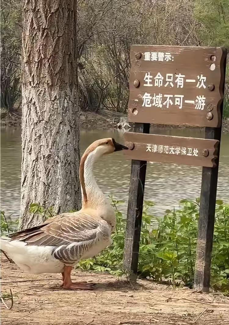 你知道这里面的哲学道理吗？
