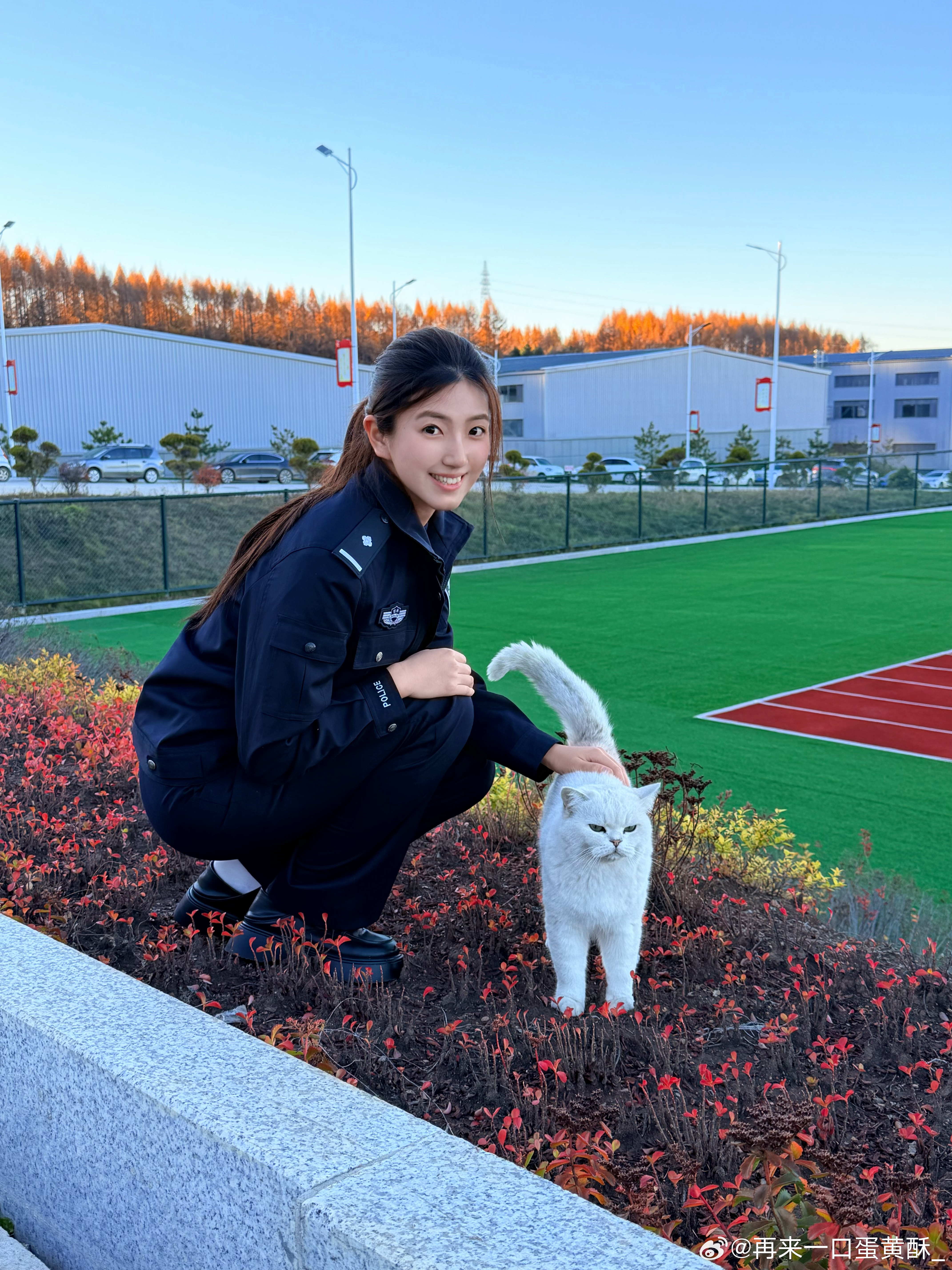 猫咪统治人类几千年 ​​​