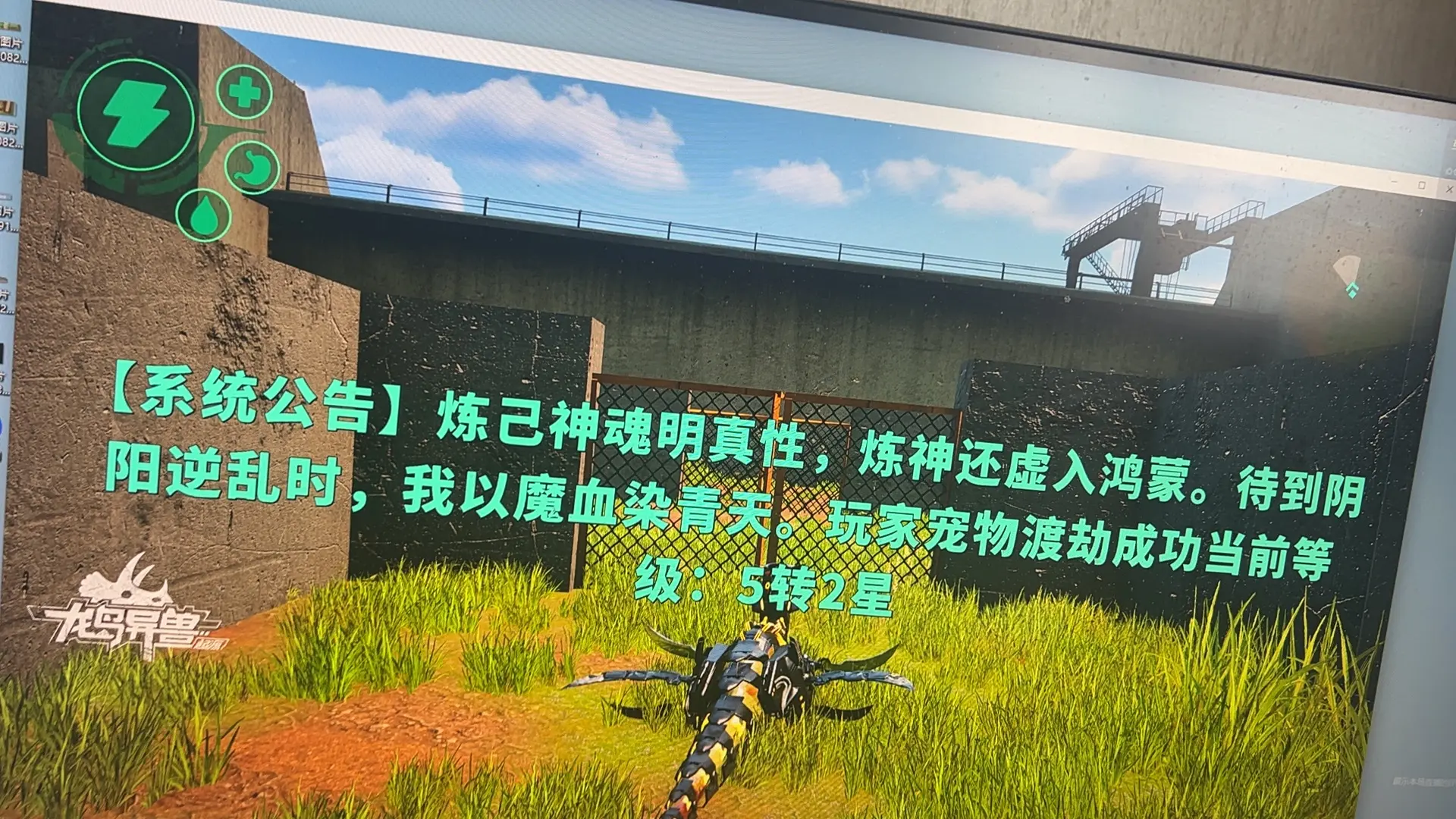 宠物等级。