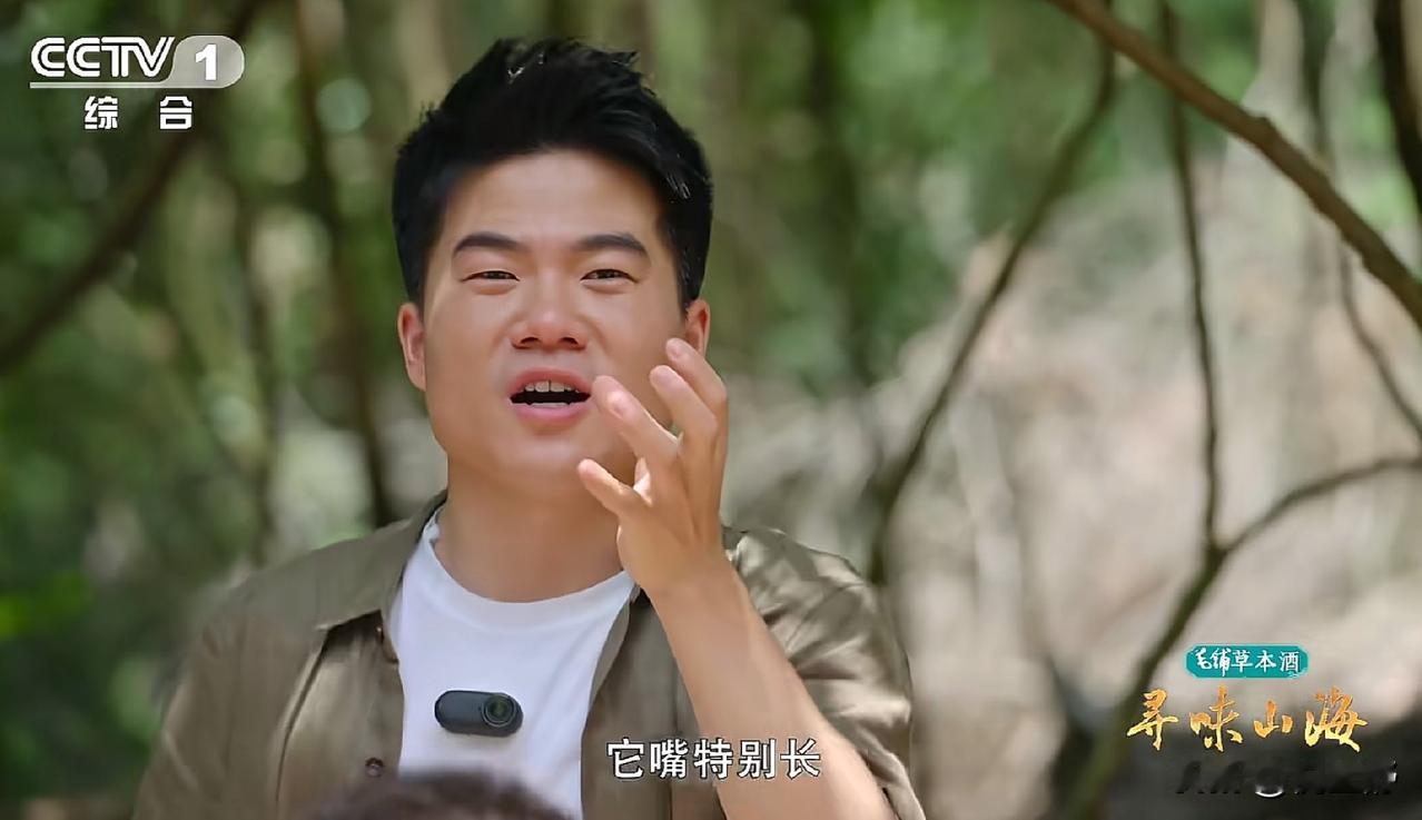 昨晚董宇辉上央视一套了
在《寻味山海》栏目中
跟龙洋搭档介绍中华美食
发现咱彪哥