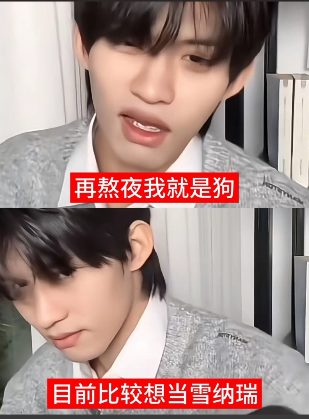 绝对不熬夜了捏 想叫star 