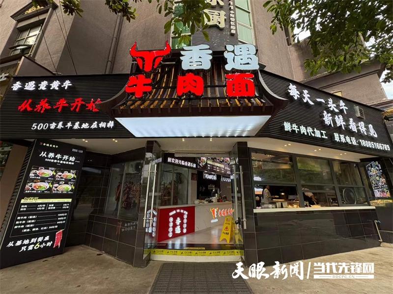 【经济观察】“科技引擎”进牛棚！桐梓这个黄牛基地三年“提质”有看头