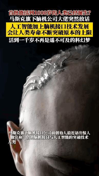 不懂就问，
活那么久的意义是什么？