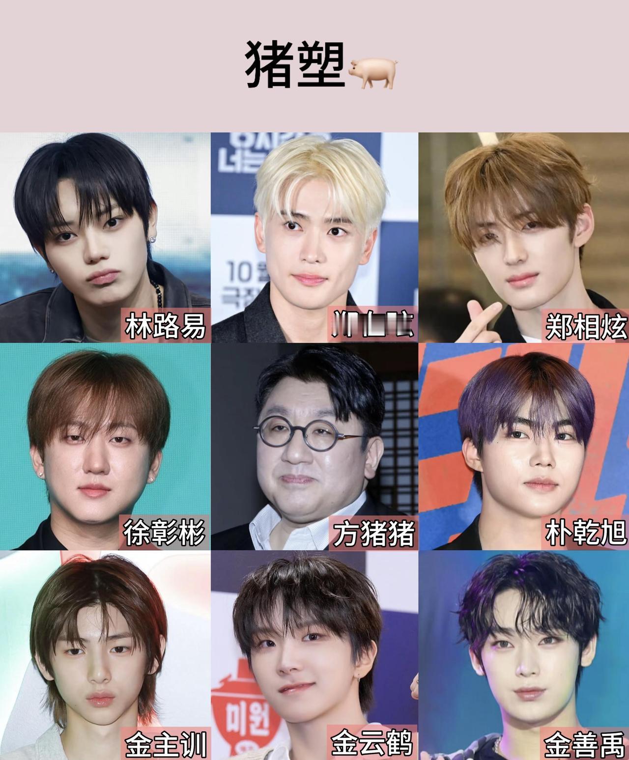 kpop男爱豆动物塑。哪个塑更容易出神颜kpop 男爱豆 动物塑 狗塑