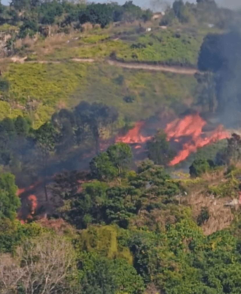 今午2时许，香港天水围虾尾新村对开山头发山火，多名居民报案。截至下午5时，现场有