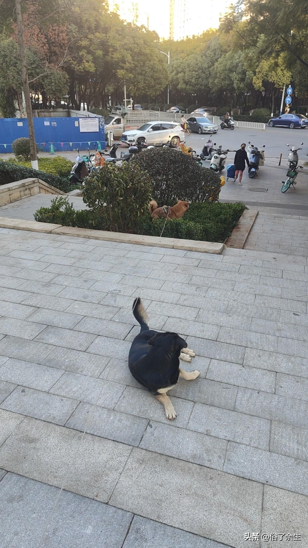 春日生活打卡季