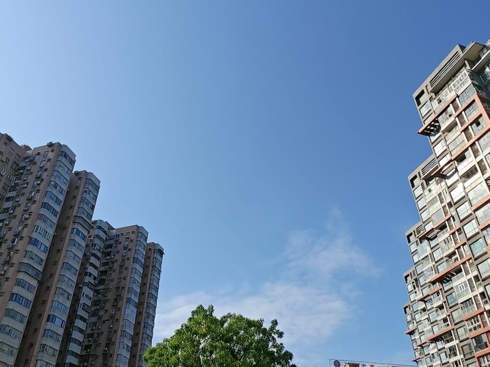 一个人最大的靠山,是什么? 通俗的说人最大的靠山就是金钱，金钱既是延续生命的保障