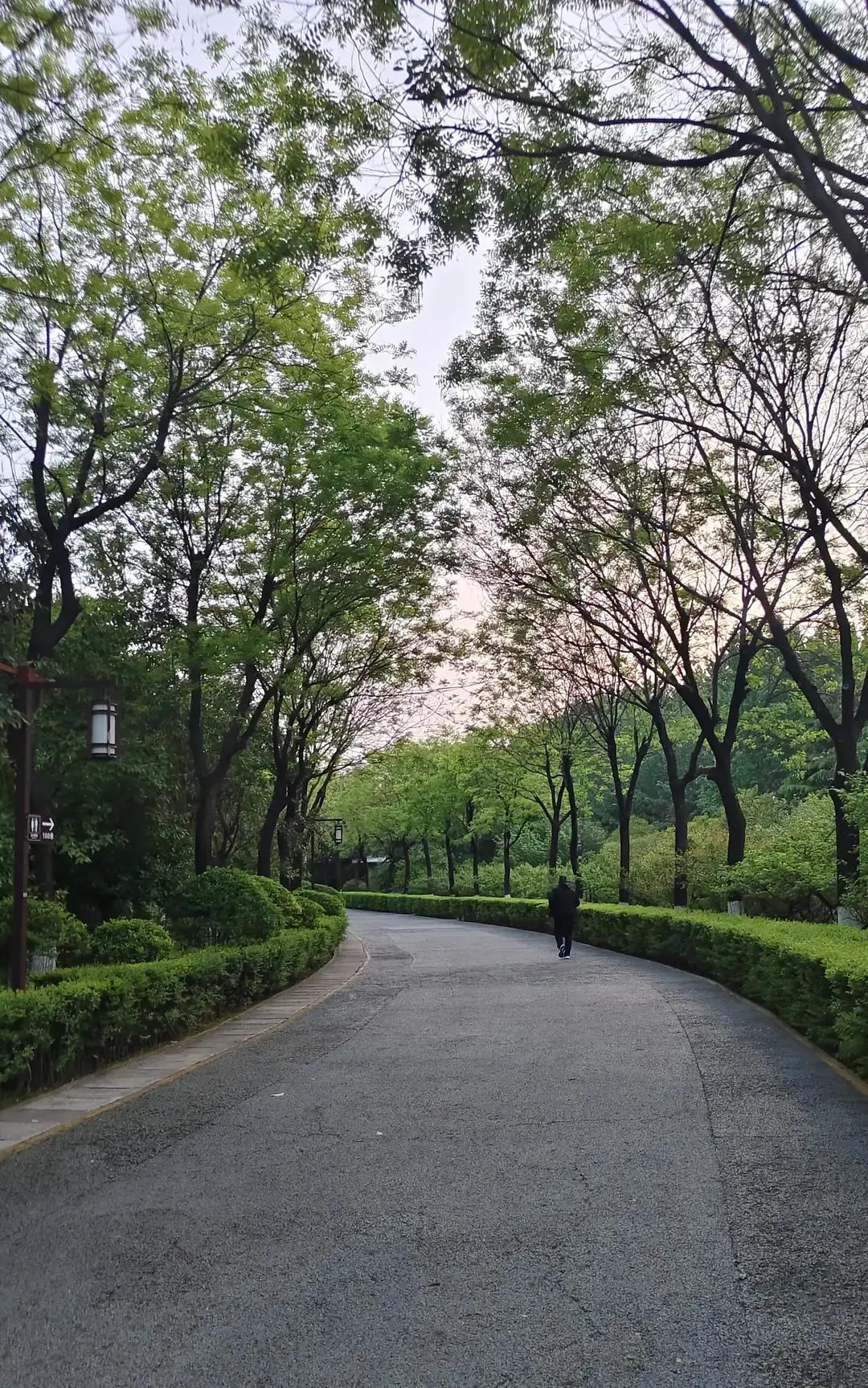 婆婆摔了腰，我直接把她接回家。

端水喂饭擦身，夜里每两小时翻身。

小姑子出差