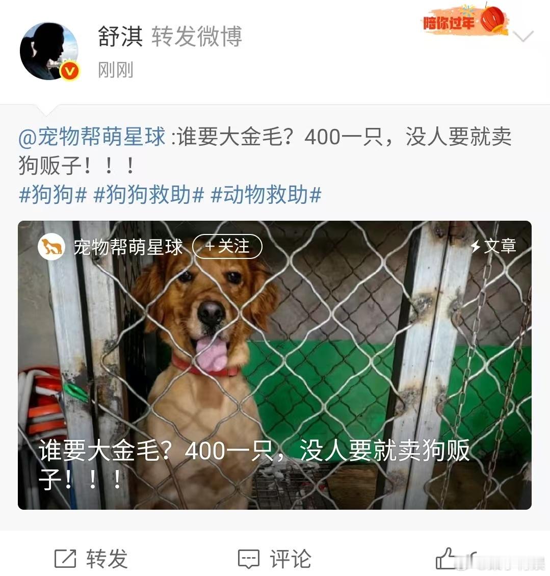 舒淇转发动物救助微博舒淇转发狗狗救助微博舒淇转发动物救助微博，姐好善良，[偷笑]