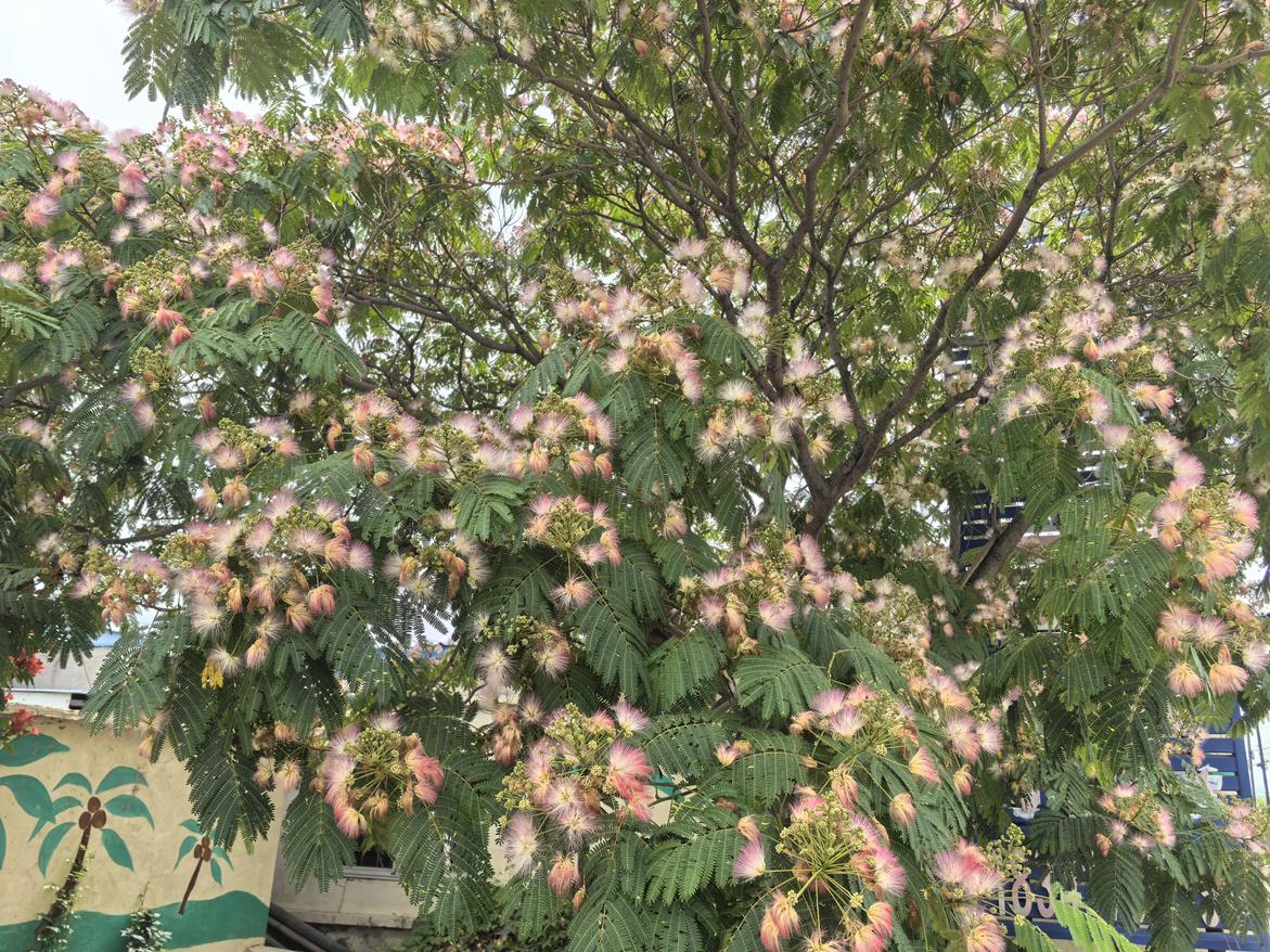 我的今日状态：😁轻松愉快
我这里的天气：☀️晴天