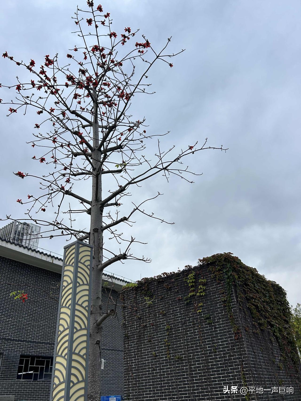 有人说，普通人自己做点小本生意一个月赚个三千五千，就已经很不错了，这种路子才是最