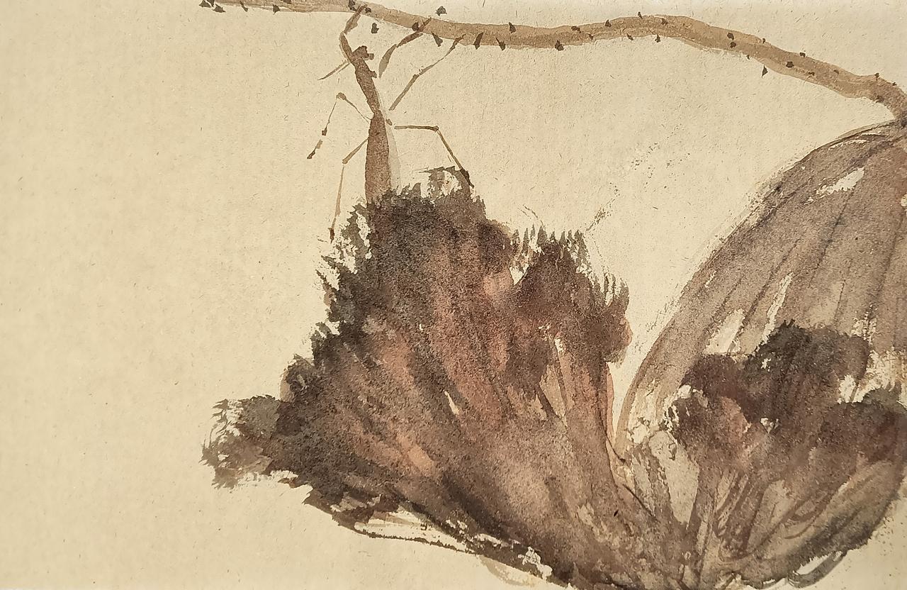 日常水墨小品三则