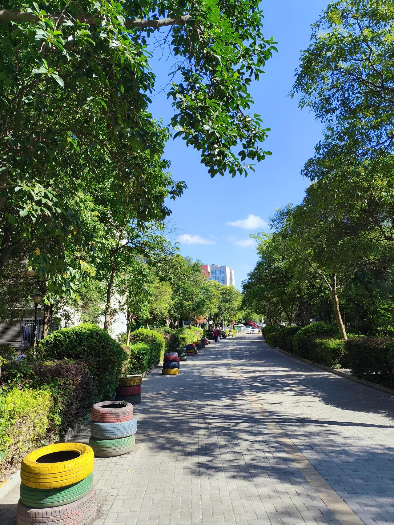 南京这天气，简直是个调皮鬼！“@南京气象”官宣19日入梅，预计7月中旬前期出梅，