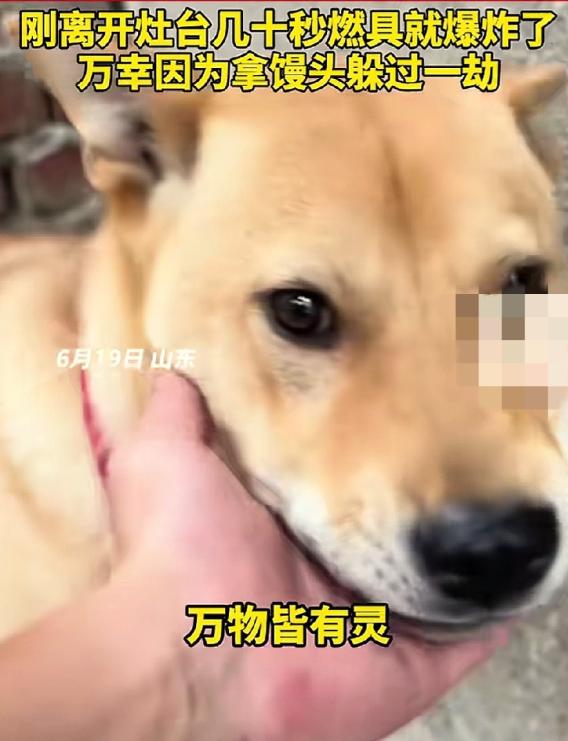 不幸中的万幸。山东这名男子只差几十秒就直面爆炸冲击，6 月 19 日他在家中厨房