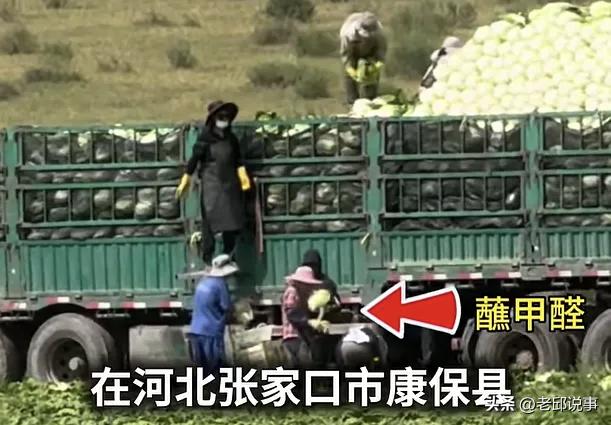 甲醛白菜出头露面了
那么，还有甲醛其他菜吗？这是咋的了都，一个一个的真不省心啊。