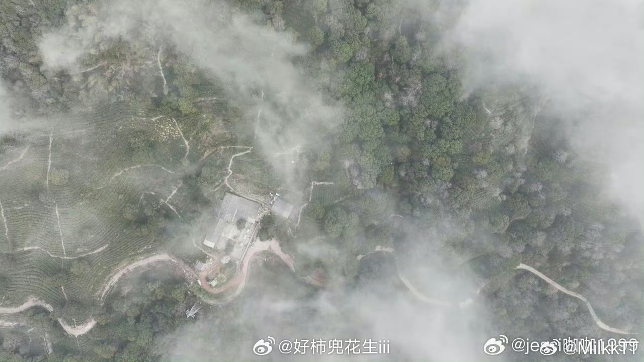 台州春茶抢鲜开采村民增收笑开颜春风拂过茶山，黄岩头茬春茶正式开采！茶农们穿梭绿意