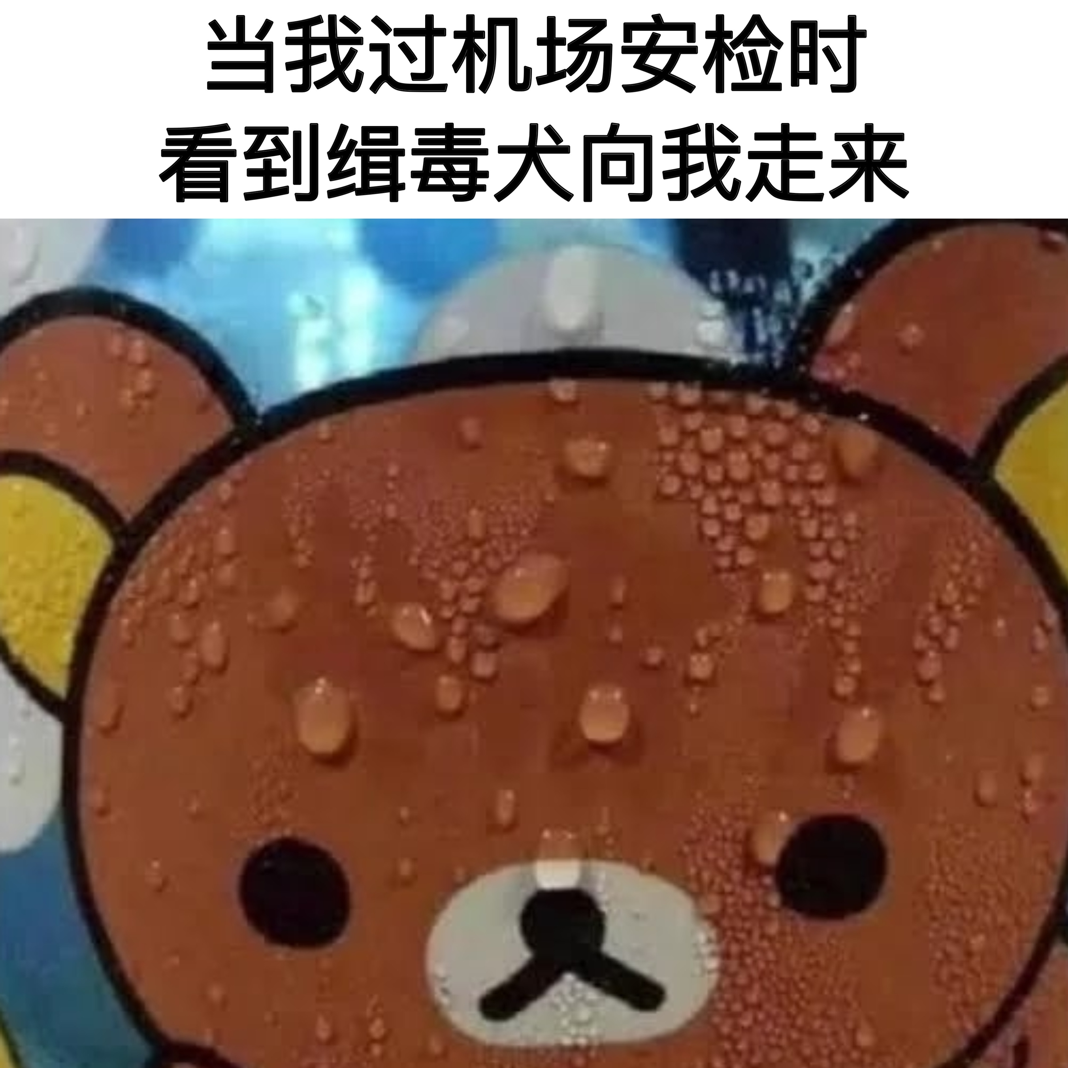 你不要乱来啊#meme# ​​​