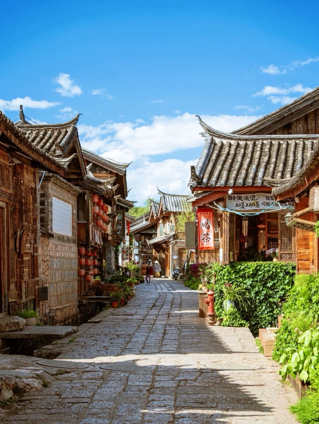 束河逛吃全指南｜从风景到风味，这家店给你双重治愈！🌺