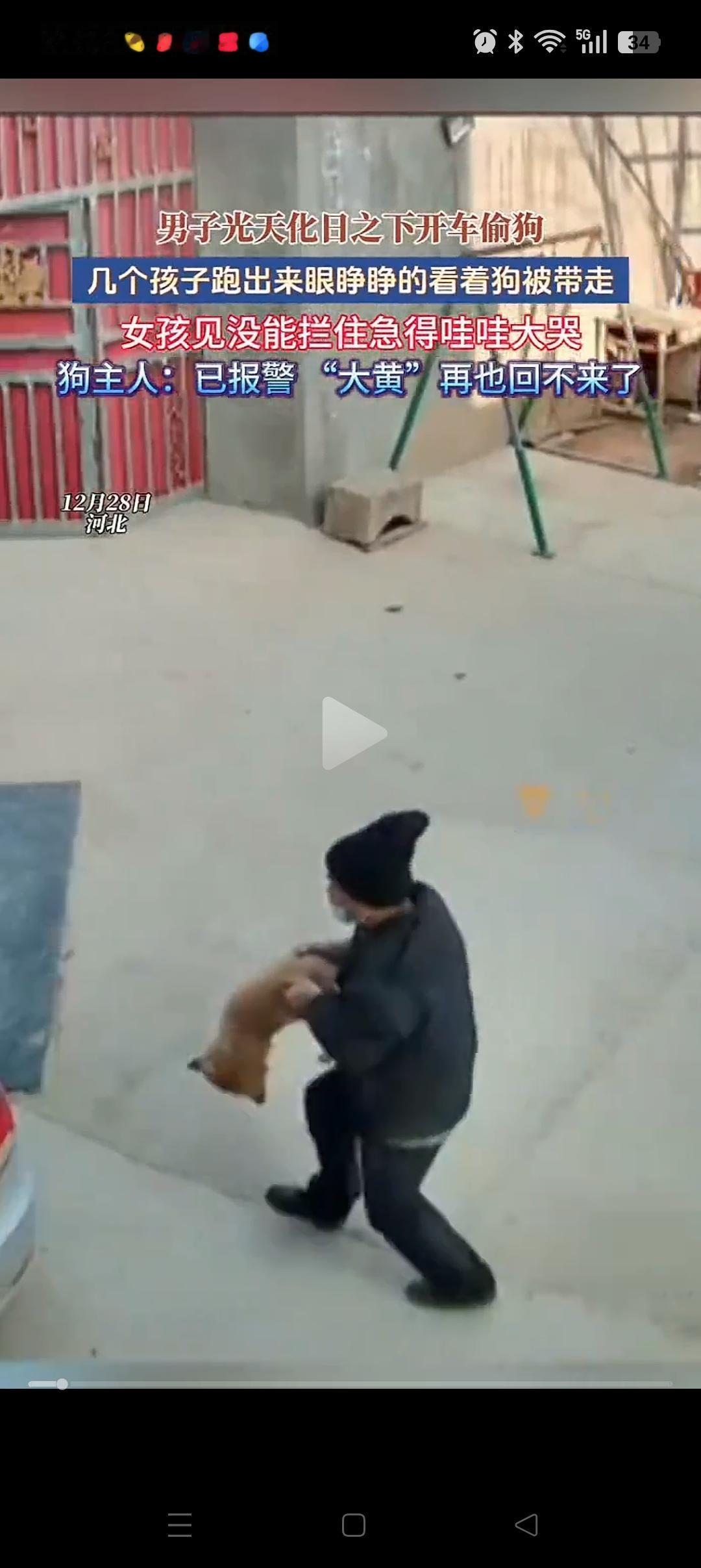 这下好了，
应该很快就能抓到了吧！
河北，一群小孩正在院子里玩游戏，不料一辆小汽