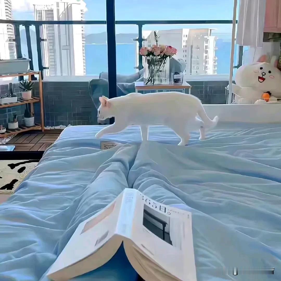 今年"最惨"的4个专业是谁？需要靠征集志愿或者是提前批。

第一，外语类专业，彻