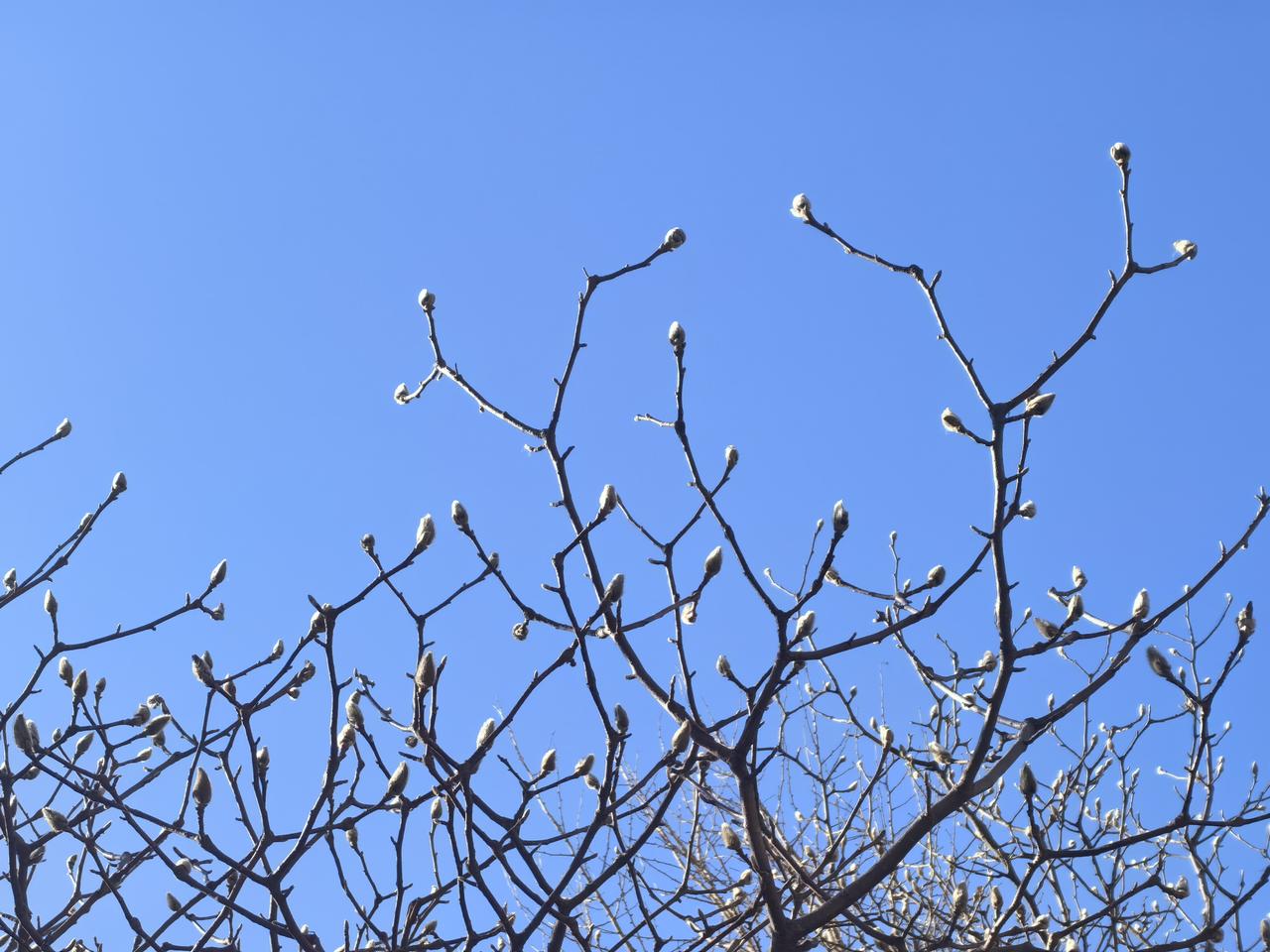 汽车的麋鹿测试成绩代表了汽车底盘的稳定性和操控性，鸿蒙智行旗下汽车麋鹿测试成绩优