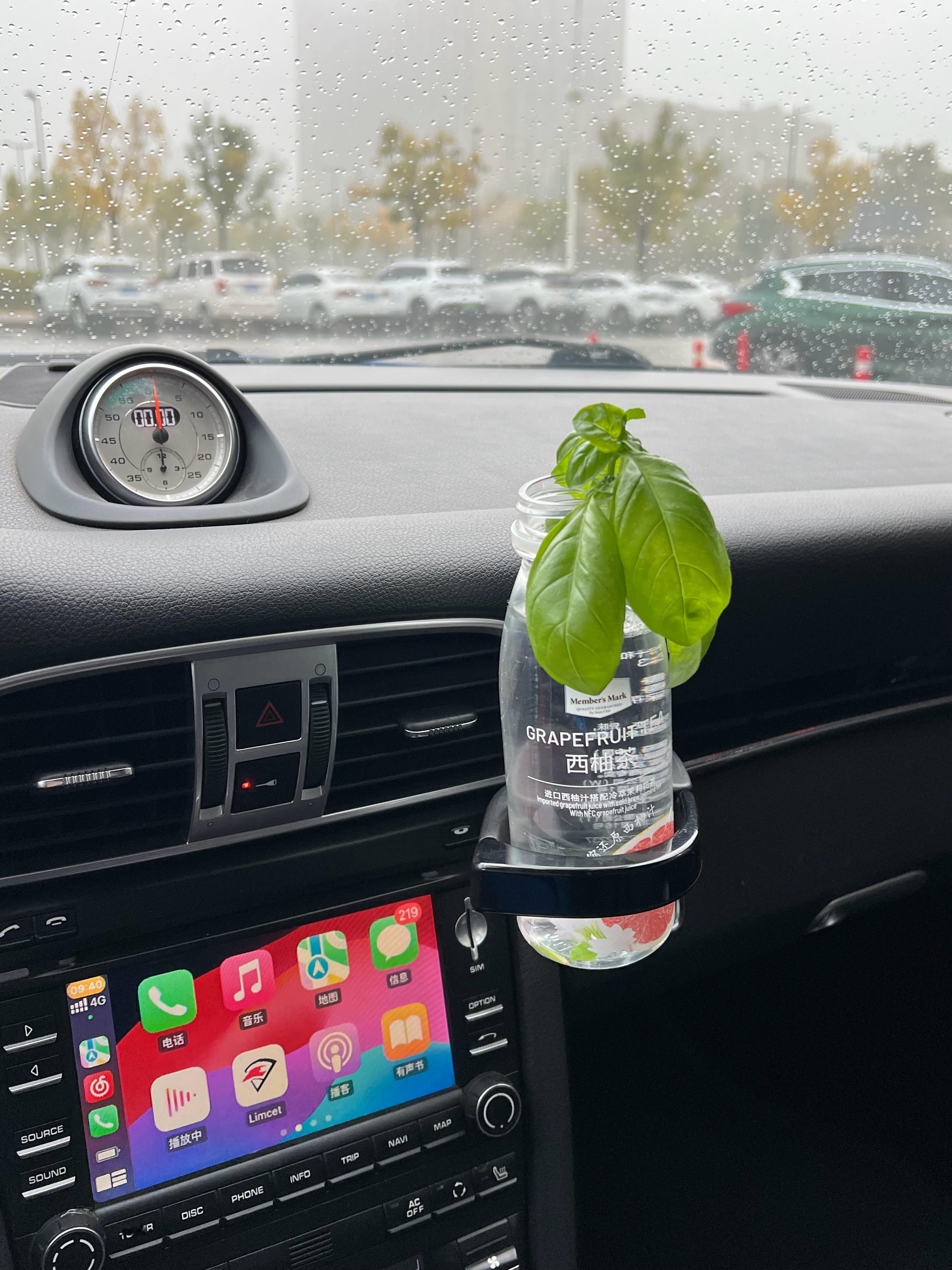 把罗勒带公司养活了之前本来是打算吃罗勒叶子的，叶子是一颗没吃，现在纯当兴趣爱好了