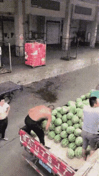 凭他单手接瓜这个水平，去学习一门技术，成为高级工匠，开辟一条新赛道应该不难。