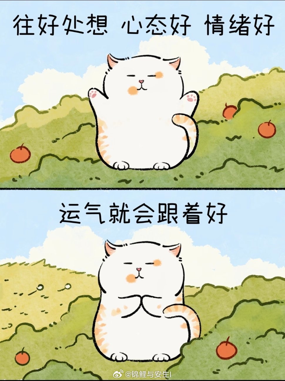梅西厉害了，小组赛第一场就帽子戏法，如果他能再次进决赛，那就更完美了，今年这一届