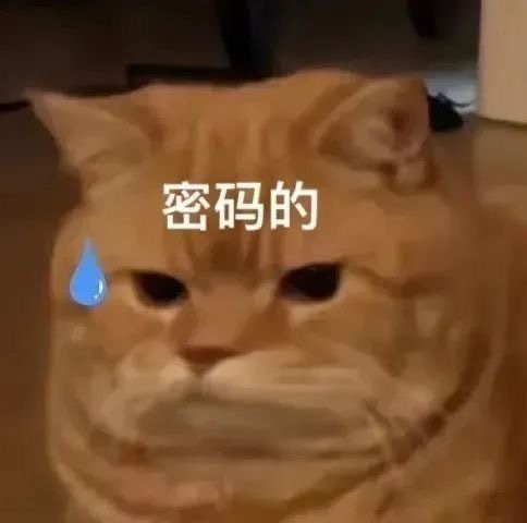 早上吃早饭，家母说我妞不爱吃粉也不吃面，我妞回：你每次给我煮的面条啥都不放，除了