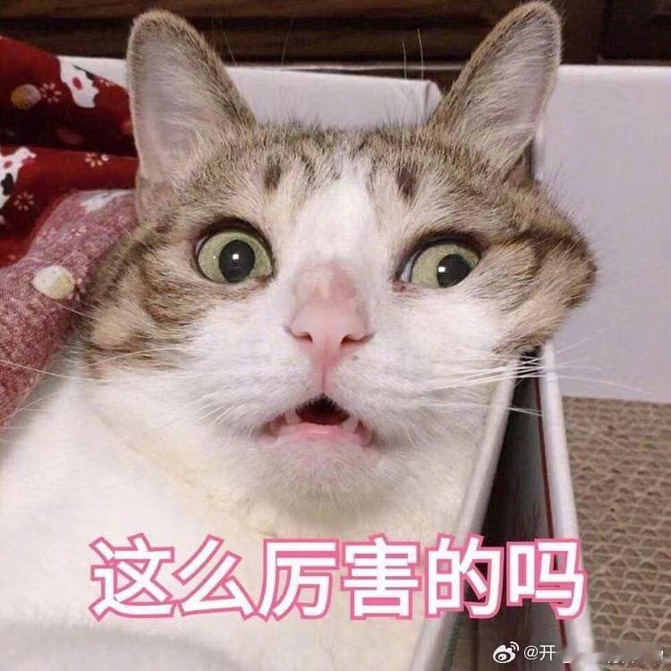 #用臭豆腐实现美食自由# 一块臭豆腐，开启你的美食自由之旅！让你的味蕾在自由中尽