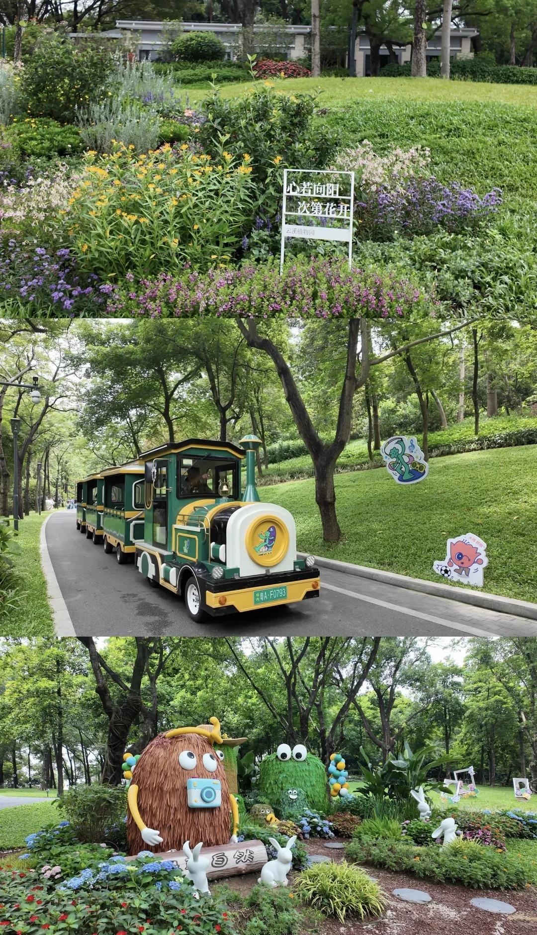 广州｜Live直出 坐上小火车追赶春天的尾巴吧
一个美商很高的植物园
喜欢里面的