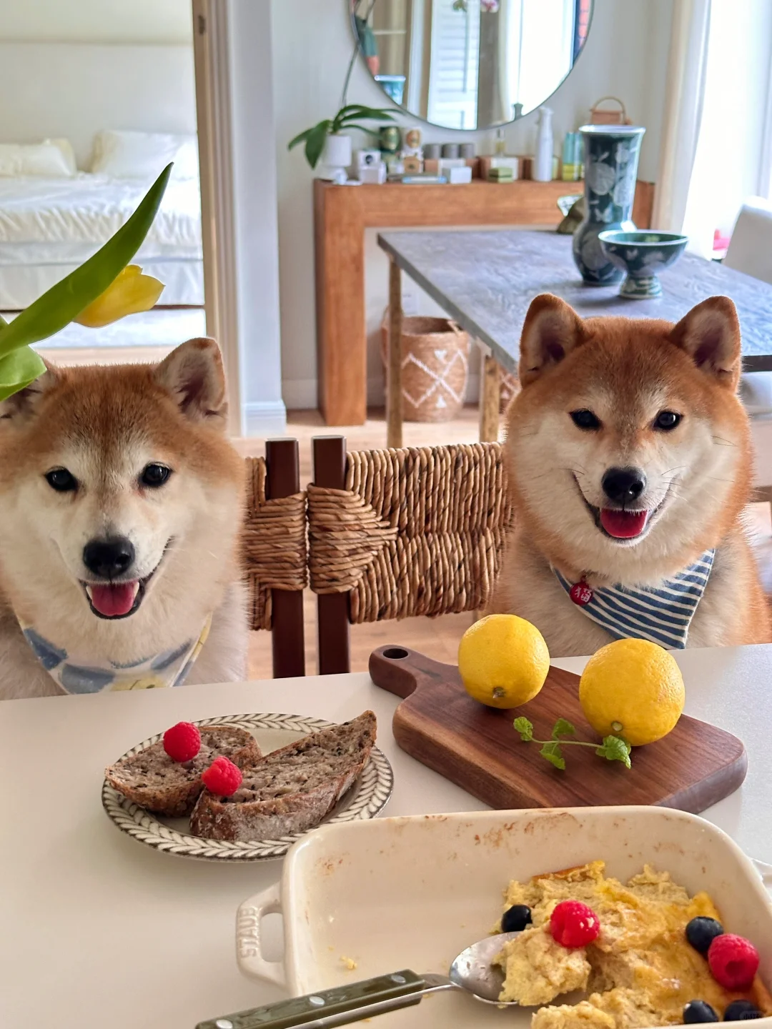 吃个brunch🍳