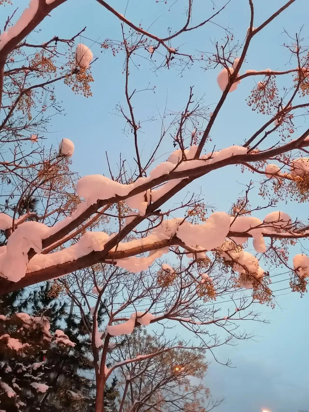 上：屠夫难宰猪八戒，
下：铁匠骗了白骨精。