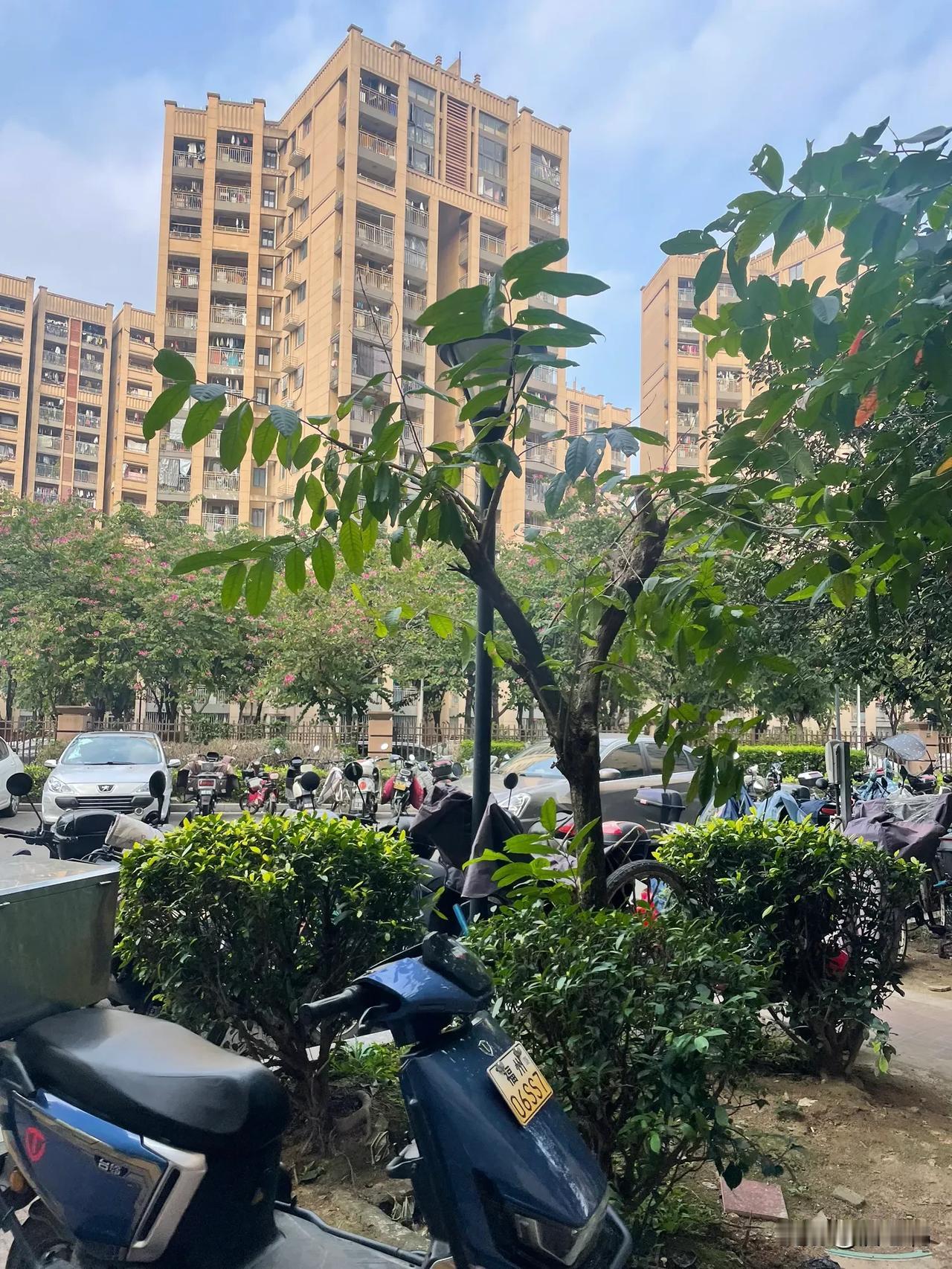 我在我们小区住了7年了，还没认识5个人，碰到会打招呼还不到3个人，同楼层的隔壁邻