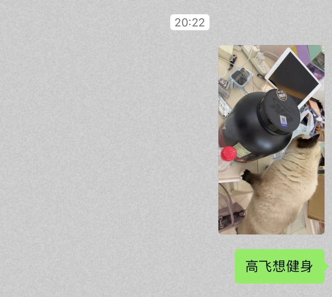 我运动belike ​​​