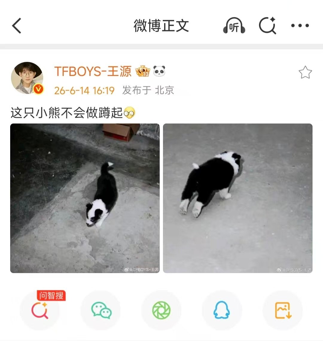王源想起来一只小熊做蹲起王源熊能熊能 哎呀小源是这个意思啊 