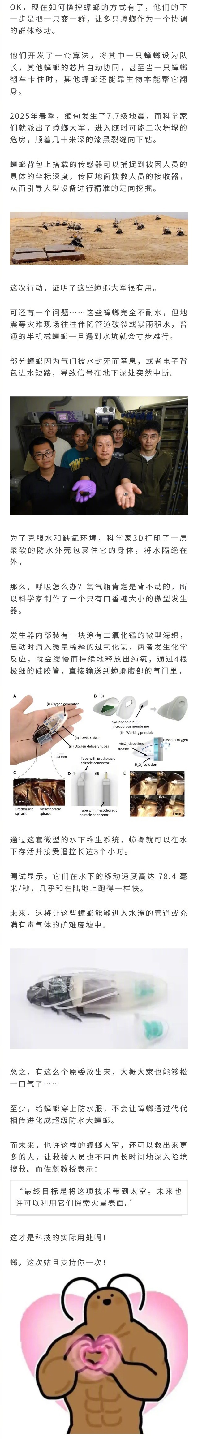 天塌了？日本科学家苦心研究十年，终于研究出能在水下存活3小时的7.5厘米潜水大蟑